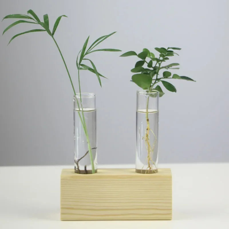 Home Vase Crystal Glass Test Tube Vase in Wooden Stand Flower Pots for Hydroponic Plants Home Garden Decoration