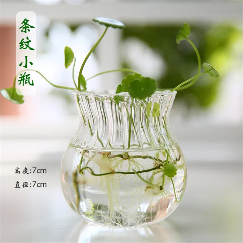 Hand Made Glass Vase Terrarium Transparent Hydroponic Flower Vase Fish Tank Aquarium Container Flower Planter Pots Home Decor