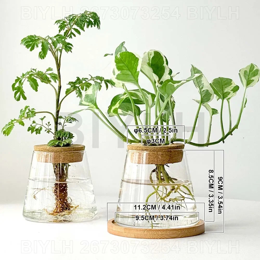 Glass Small Flower Pots for Plants Hydroponics Plant Pots Transparent Flower Vase with Tray Office Home Decoration Accessories