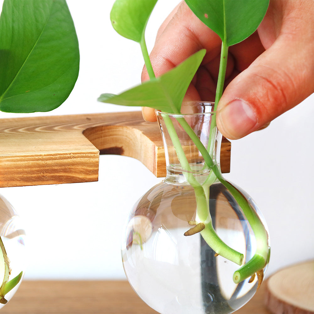 Nordic Style Creative Wooden Frame Hydroponic Vase