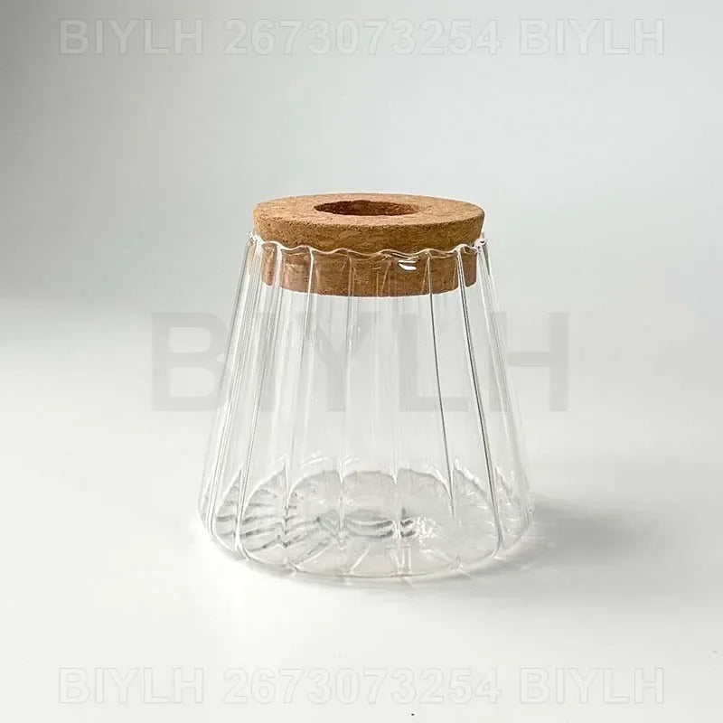Glass Small Flower Pots for Plants Hydroponics Plant Pots Transparent Flower Vase with Tray Office Home Decoration Accessories