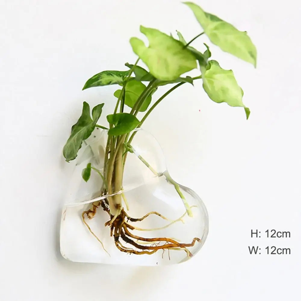 Home Decorations Hydroponic Plants Purify House Glass Crafts Flower Vase Hydroponic Vase Flower Pot Plant Container
