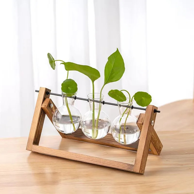 Home Vase Crystal Glass Test Tube Vase in Wooden Stand Flower Pots for Hydroponic Plants Home Garden Decoration