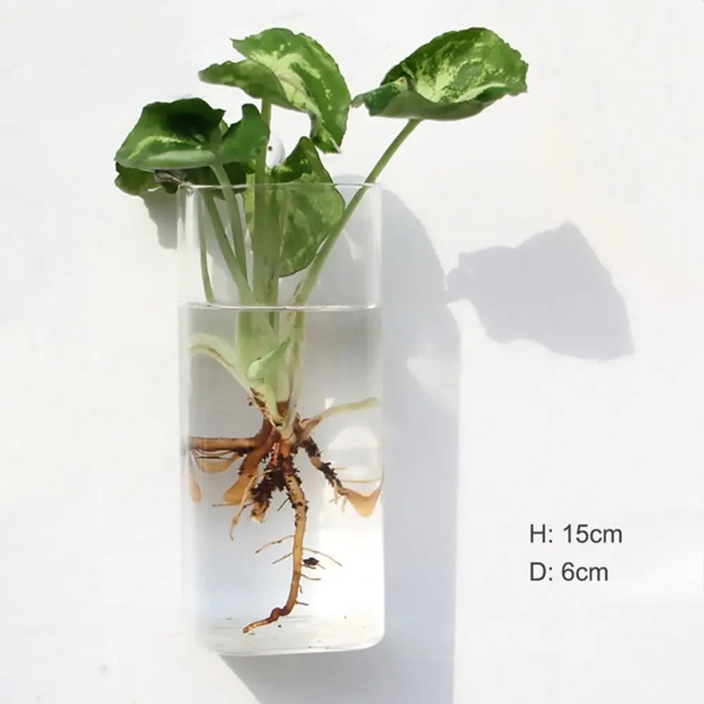Home Decorations Hydroponic Plants Purify House Glass Crafts Flower Vase Hydroponic Vase Flower Pot Plant Container