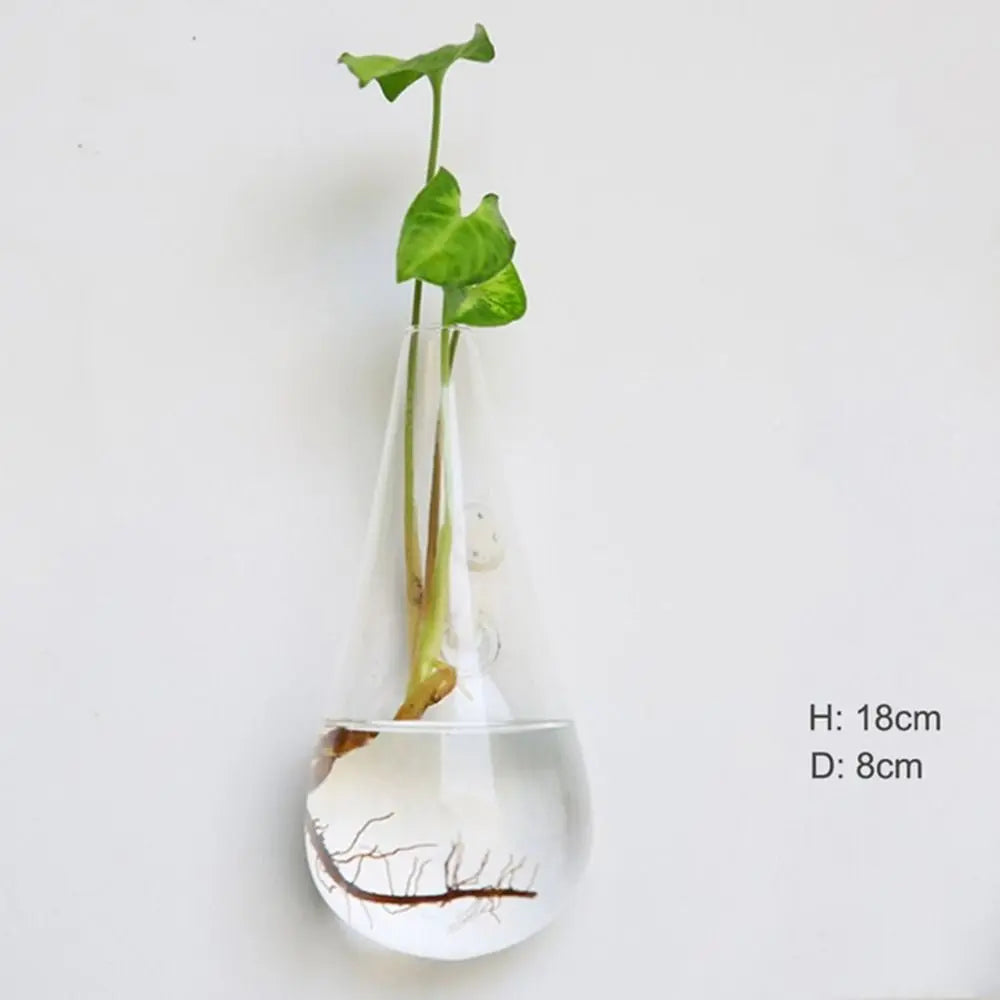 Home Decorations Hydroponic Plants Purify House Glass Crafts Flower Vase Hydroponic Vase Flower Pot Plant Container