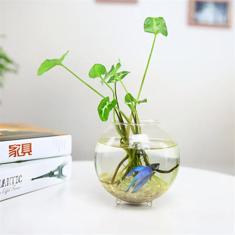 Hand Made Glass Vase Terrarium Transparent Hydroponic Flower Vase Fish Tank Aquarium Container Flower Planter Pots Home Decor