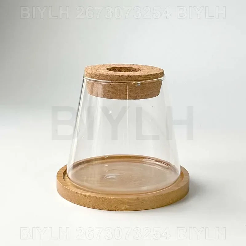 Glass Small Flower Pots for Plants Hydroponics Plant Pots Transparent Flower Vase with Tray Office Home Decoration Accessories