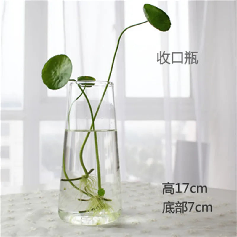 Hand Made Glass Vase Terrarium Transparent Hydroponic Flower Vase Fish Tank Aquarium Container Flower Planter Pots Home Decor