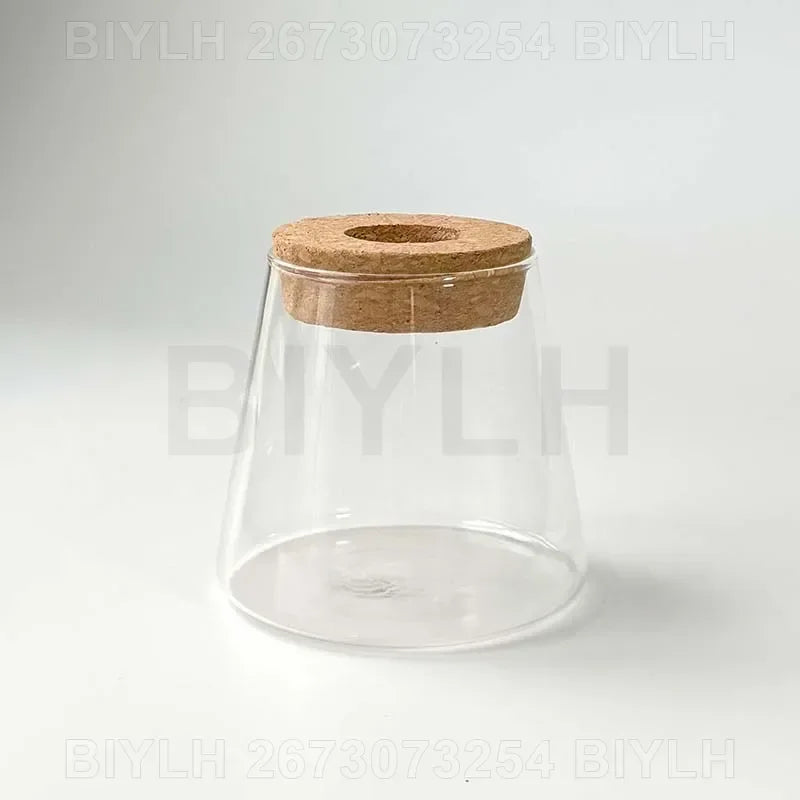 Glass Small Flower Pots for Plants Hydroponics Plant Pots Transparent Flower Vase with Tray Office Home Decoration Accessories