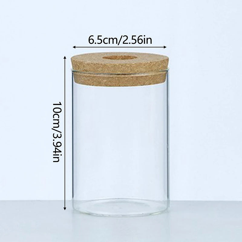 Hydroponic Plant Home Vase Decor Transparent Hydroponic Flower Pot Soilless Plant Pots Office Desktop Green Plants Pot Potted