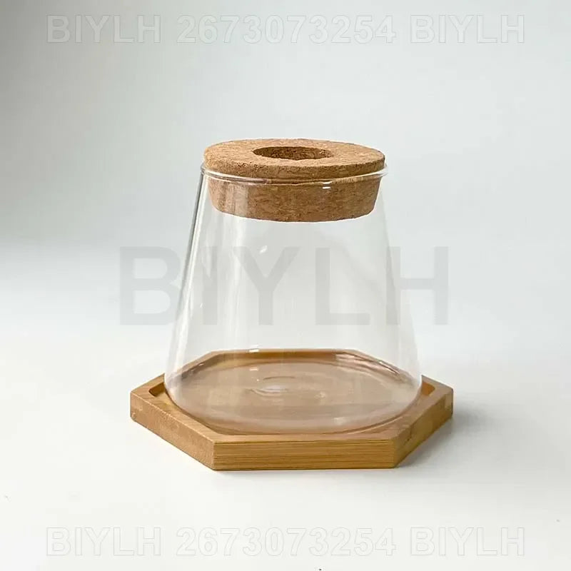 Glass Small Flower Pots for Plants Hydroponics Plant Pots Transparent Flower Vase with Tray Office Home Decoration Accessories