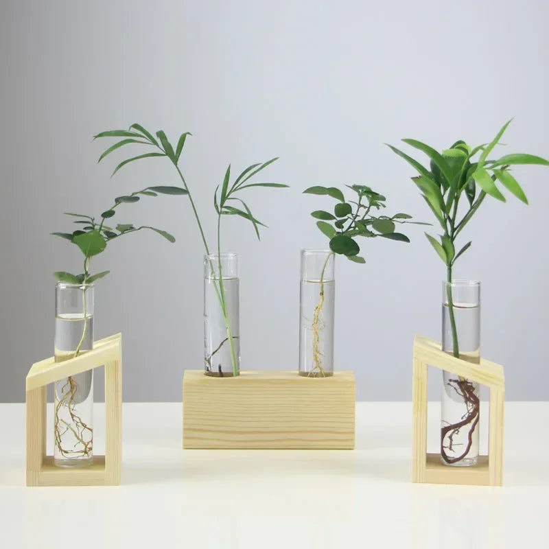 Home Vase Crystal Glass Test Tube Vase in Wooden Stand Flower Pots for Hydroponic Plants Home Garden Decoration