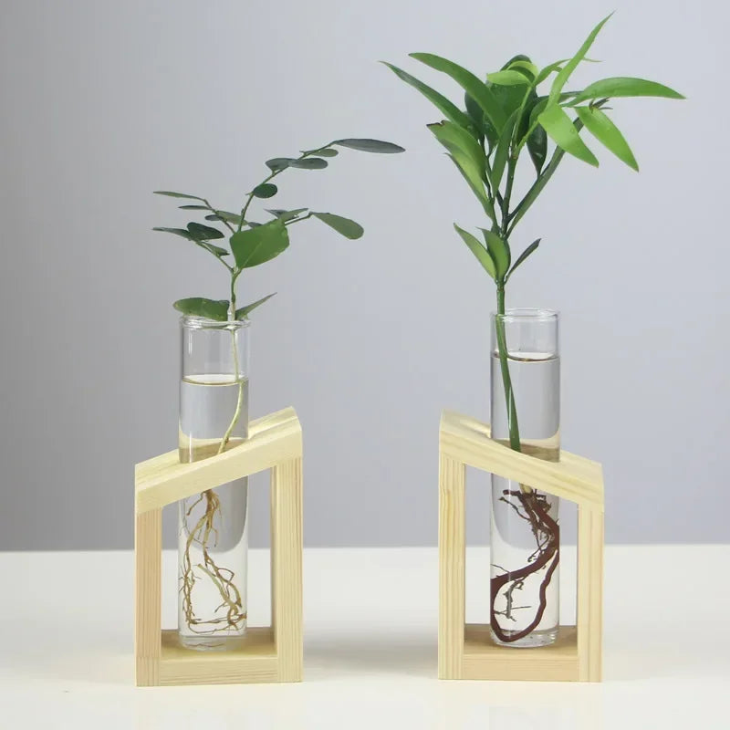 Home Vase Crystal Glass Test Tube Vase in Wooden Stand Flower Pots for Hydroponic Plants Home Garden Decoration