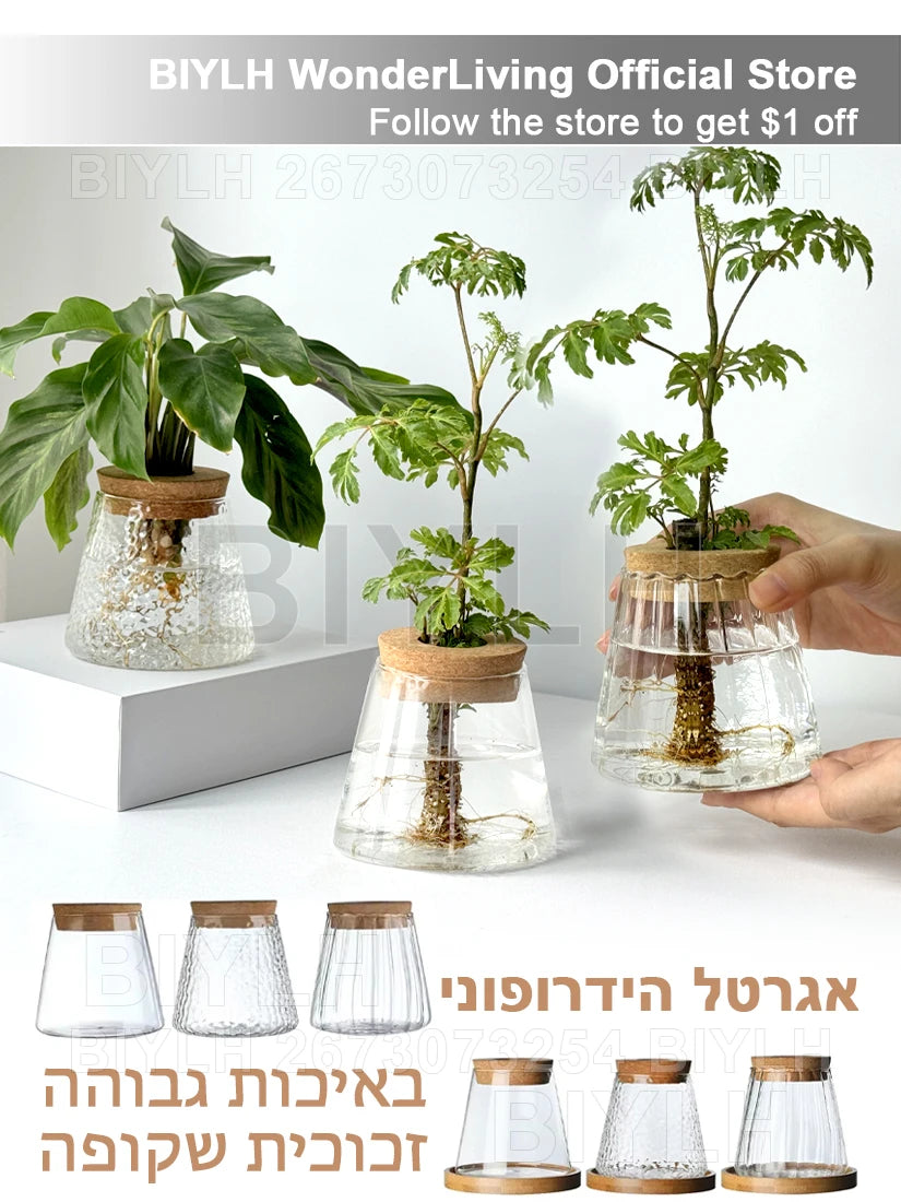 Glass Small Flower Pots for Plants Hydroponics Plant Pots Transparent Flower Vase with Tray Office Home Decoration Accessories