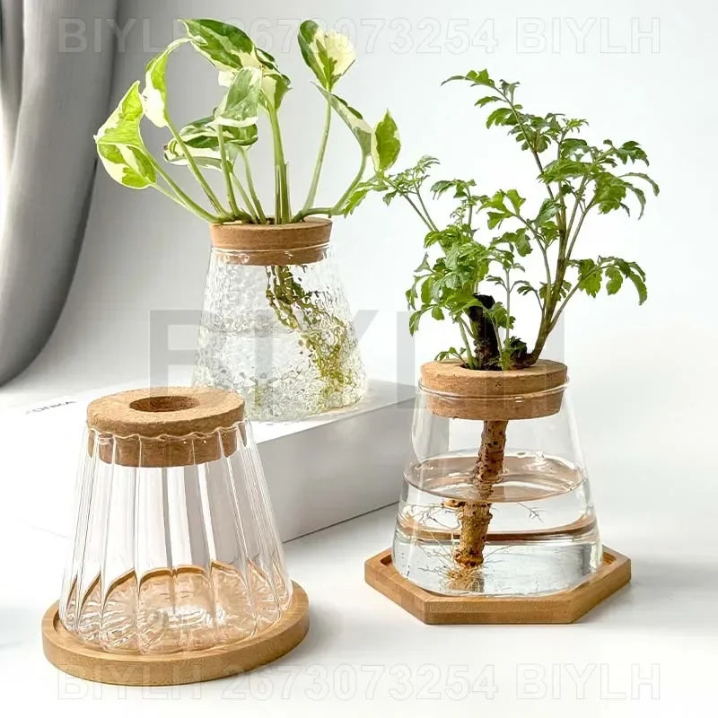 Glass Small Flower Pots for Plants Hydroponics Plant Pots Transparent Flower Vase with Tray Office Home Decoration Accessories