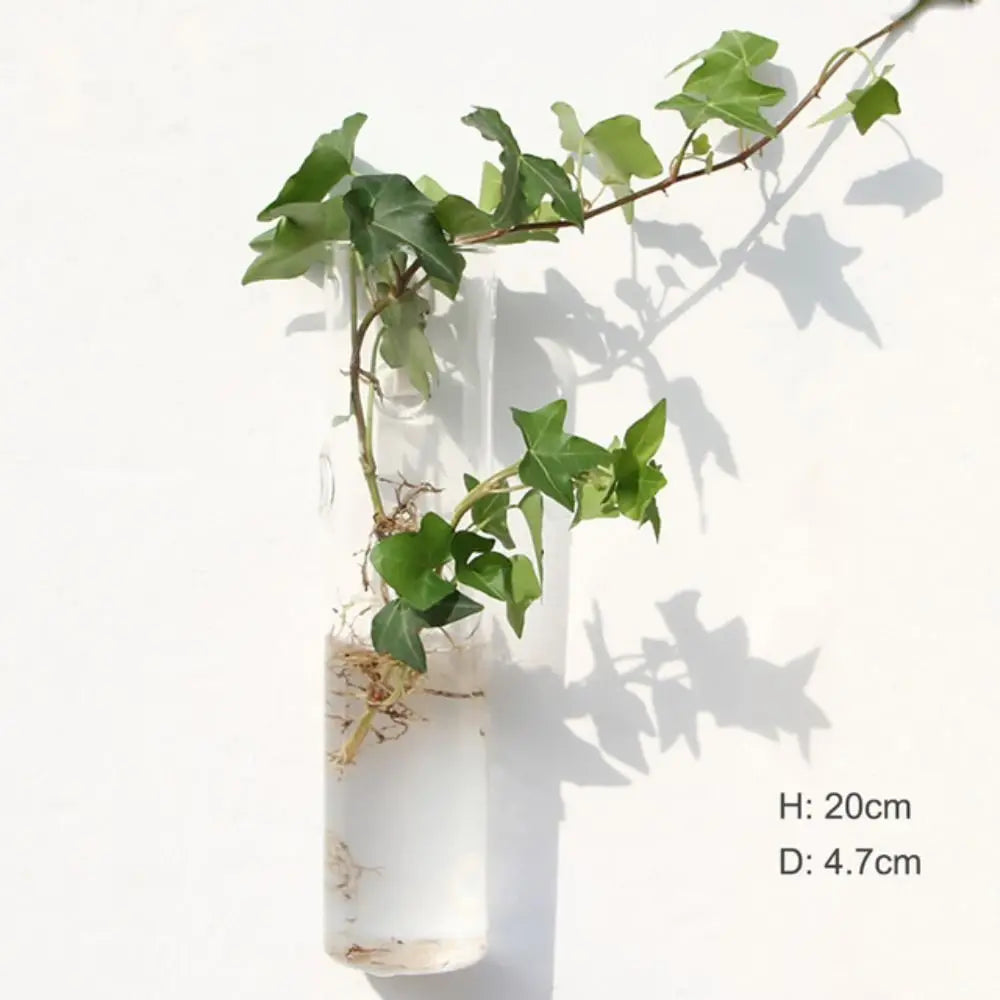 Home Decorations Hydroponic Plants Purify House Glass Crafts Flower Vase Hydroponic Vase Flower Pot Plant Container