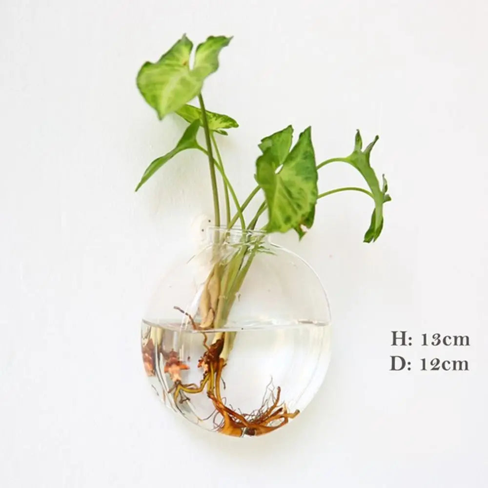 Home Decorations Hydroponic Plants Purify House Glass Crafts Flower Vase Hydroponic Vase Flower Pot Plant Container