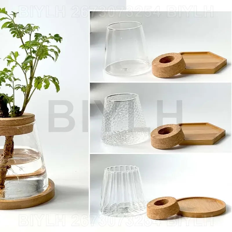 Glass Small Flower Pots for Plants Hydroponics Plant Pots Transparent Flower Vase with Tray Office Home Decoration Accessories