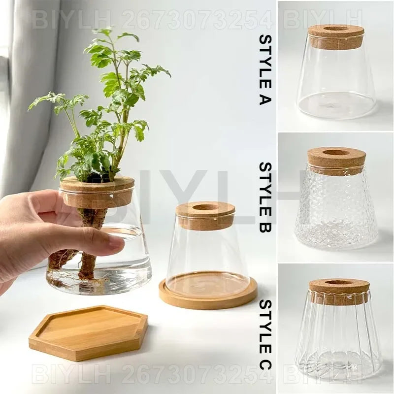 Glass Small Flower Pots for Plants Hydroponics Plant Pots Transparent Flower Vase with Tray Office Home Decoration Accessories