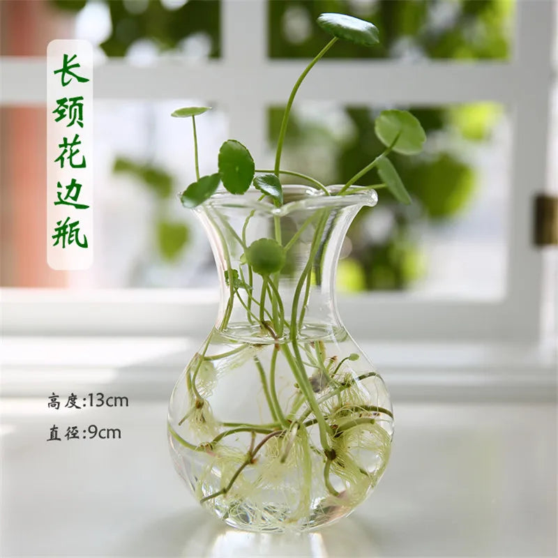 Hand Made Glass Vase Terrarium Transparent Hydroponic Flower Vase Fish Tank Aquarium Container Flower Planter Pots Home Decor