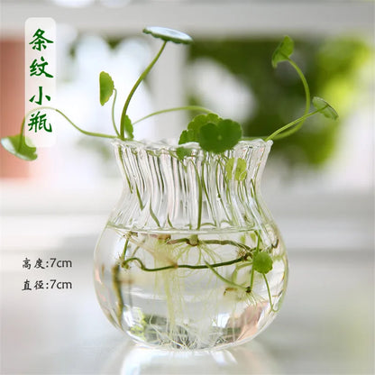 Hand Made Glass Vase Terrarium Transparent Hydroponic Flower Vase Fish Tank Aquarium Container Flower Planter Pots Home Decor