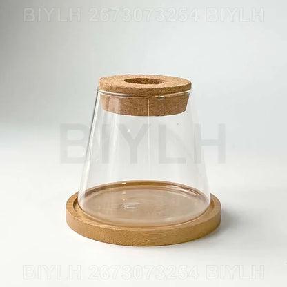 Glass Small Flower Pots for Plants Hydroponics Plant Pots Transparent Flower Vase with Tray Office Home Decoration Accessories