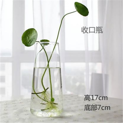 Hand Made Glass Vase Terrarium Transparent Hydroponic Flower Vase Fish Tank Aquarium Container Flower Planter Pots Home Decor