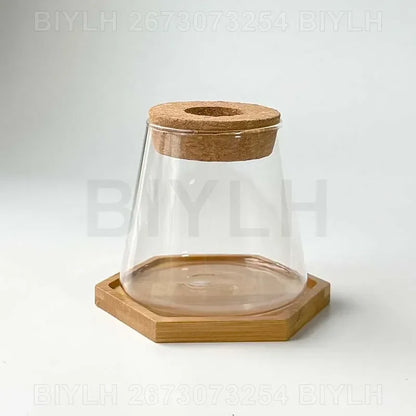Glass Small Flower Pots for Plants Hydroponics Plant Pots Transparent Flower Vase with Tray Office Home Decoration Accessories