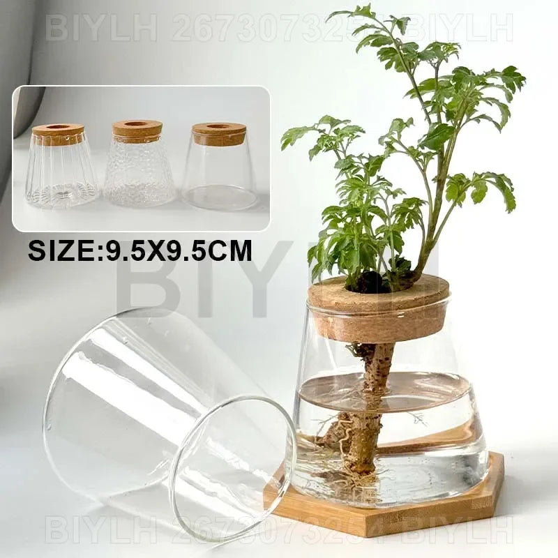 Glass Small Flower Pots for Plants Hydroponics Plant Pots Transparent Flower Vase with Tray Office Home Decoration Accessories