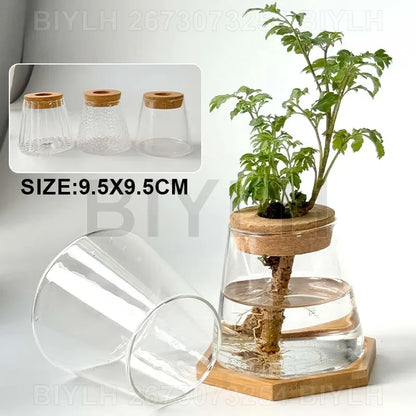 Glass Small Flower Pots for Plants Hydroponics Plant Pots Transparent Flower Vase with Tray Office Home Decoration Accessories