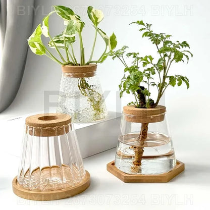 Glass Small Flower Pots for Plants Hydroponics Plant Pots Transparent Flower Vase with Tray Office Home Decoration Accessories